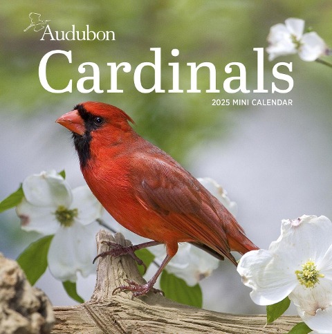 Audubon Cardinals Mini Wall Calendar 2025 - National Audubon Society, Workman Calendars