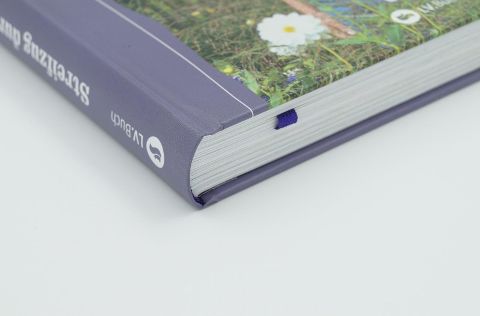 InsideView 2