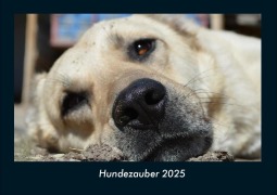 Cover-Bild zum Titel 'Hundezauber 2025 Fotokalender DIN A4' von 'Tobias Becker'