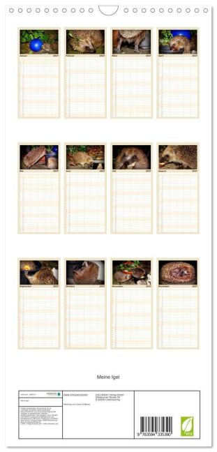 InsideView 4