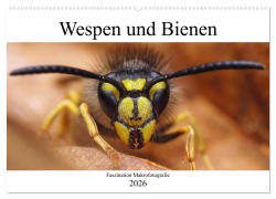 Cover-Bild zum Titel 'Faszination Makrofotografie: Wespen und Bienen (Wandkalender 2026 DIN A2 quer), CALVENDO Monatskalender' von 'Alexander Mett Photography'