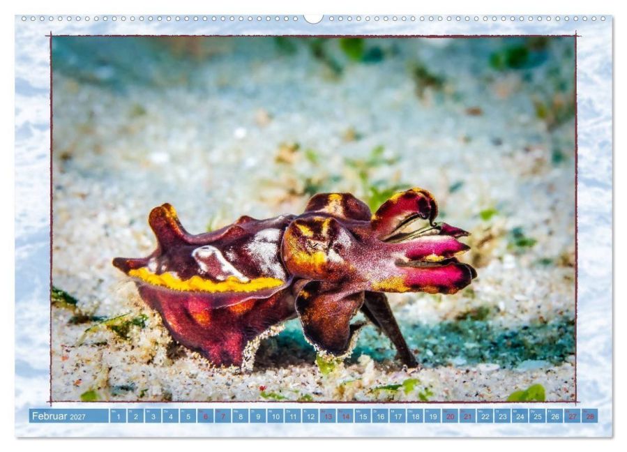 InsideView 7