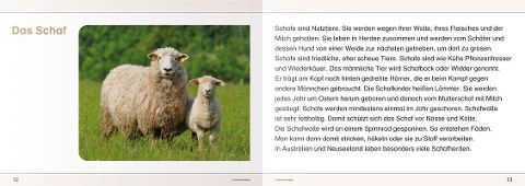 InsideView 4