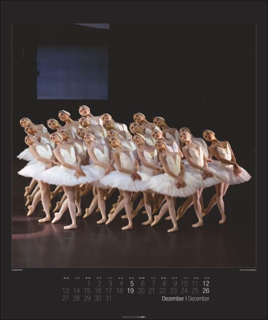 InsideView 12