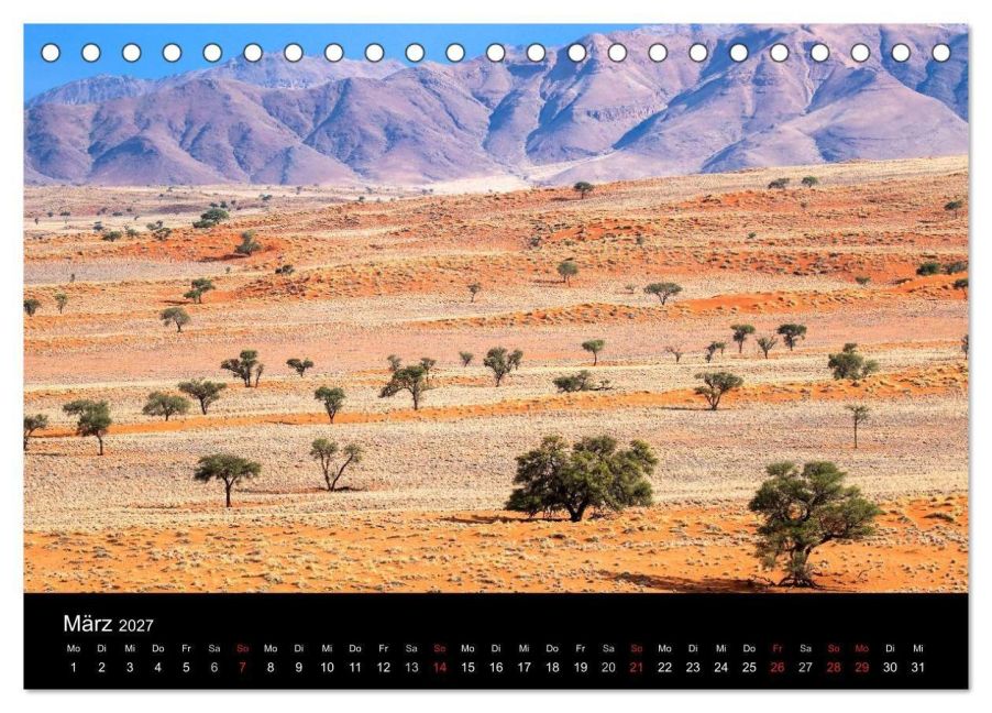 InsideView 8