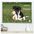 Welpen - Puppies (hochwertiger Premium Wandkalender 2024 DIN A2 quer), Kunstdruck in Hochglanz - Jeanette Hutfluss
