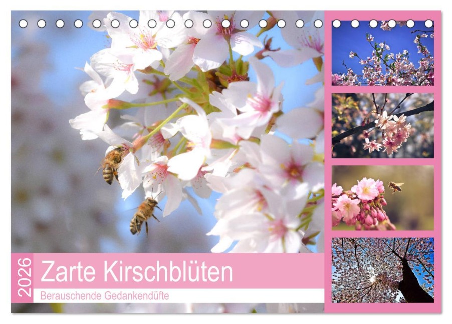 Zarte Kirschblüten - Berauschende Gedankendüfte (Tischkalender 2026 DIN A5 quer), CALVENDO Monatskalender - Bettina Hackstein Zarte Kirschblüten - Berauschende Gedankendüfte (Tischkalender 2026 DIN A5 quer), CALVENDO Monatskalender - Bettina Hackstein