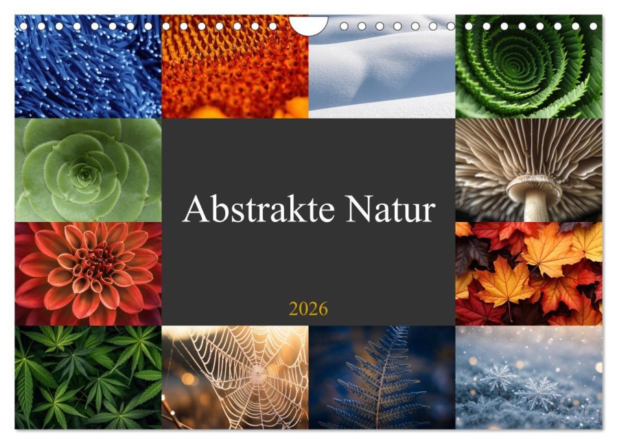Abstrakte Natur (Wandkalender 2026 DIN A4 quer), CALVENDO Monatskalender - Susan Michel