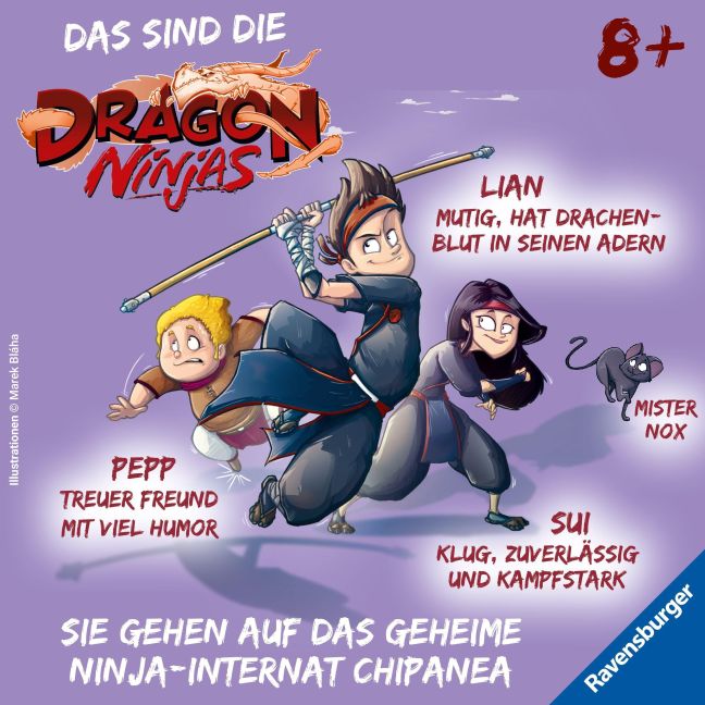 InsideView 1