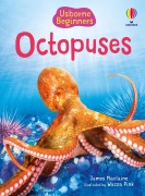 Cover-Bild zum Titel 'Beginners Octopuses' von 'James Maclaine'