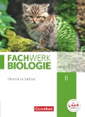 Fachwerk Biologie 6. Schuljahr - Sachsen - Schülerbuch - Udo Hampl, Anke Pohlmann, Peter Pondorf, Ingmar Stelzig, Lysann Tessendorf