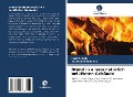 Cover-Bild zum Titel 'Brand in einem natürlich belüfteten Gebäude' von 'Raja Singh, Tadepalli Srinivas'