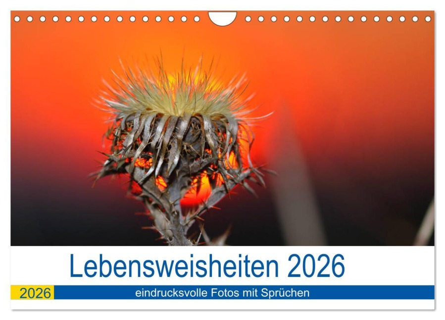 Lebensweisheiten 2026 (Wandkalender 2026 DIN A4 quer), CALVENDO Monatskalender - Michis Fotogalerie