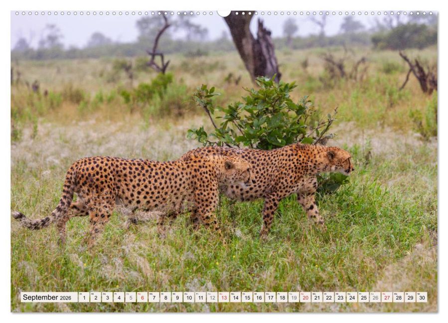 InsideView 13