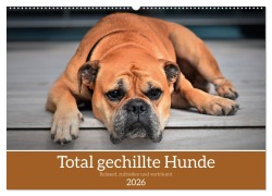 Cover-Bild zum Titel 'Total gechillte Hunde (Wandkalender 2026 DIN A2 quer), CALVENDO Monatskalender' von ''