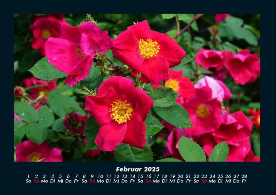 InsideView 6