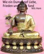 Cover-Bild zum Titel 'Wie ein Dummkopf Liebe, Frieden und Glück fand' von 'Nils Horn'