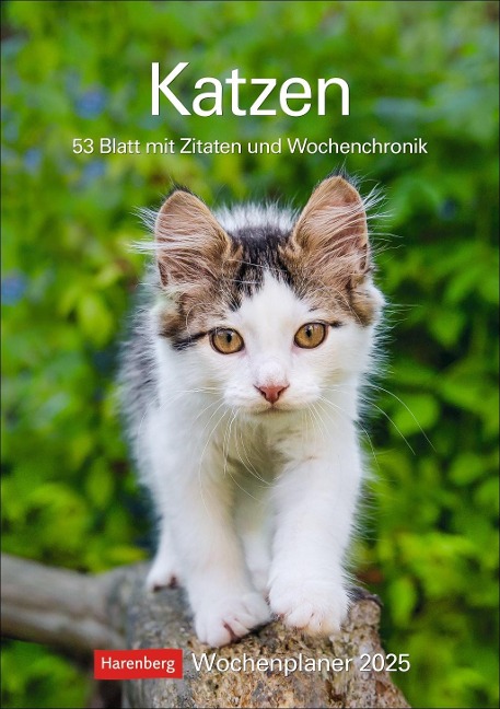 Katzen Wochenplaner 2025 - 53 Blatt mit Zitaten und Wochenchronik - Thomas Huhnold