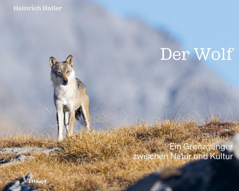 Der Wolf - Heinrich Haller