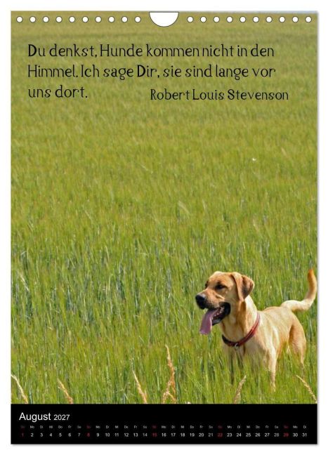 InsideView 13