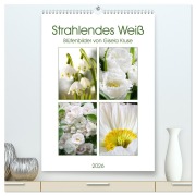 Strahlendes Weiß Blütenbilder (hochwertiger Premium Wandkalender 2026 DIN A2 hoch), Kunstdruck in Hochglanz - Gisela Kruse