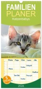 Cover-Bild zum Titel 'Familienplaner 2026 - Katzenbabys mit 5 Spalten (Wandkalender, 21 x 45 cm) CALVENDO' von ''