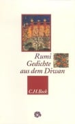 Cover-Bild zum Titel 'Gedichte aus dem Diwan' von 'Dschalaluddin Rumi'