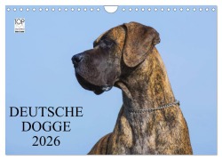 Cover-Bild zum Titel 'Deutsche Dogge 2026 (Wandkalender 2026 DIN A4 quer), CALVENDO Monatskalender' von 'Sigrid Starick'