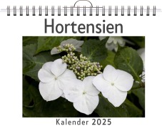 Cover-Bild zum Titel 'Hortensien - (Wandkalender 2025, Kalender DIN A4 quer, Monatskalender im Querformat mit Kalendarium, das perfekte Geschenk)' von 'Matteo Peters'