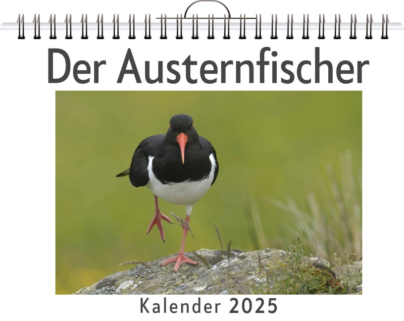 Der Austernfischer - Henry König