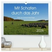 Cover-Bild zum Titel 'Mit Schafen durch das Jahr (hochwertiger Premium Wandkalender 2026 DIN A2 quer), Kunstdruck in Hochglanz' von 'CoKeDi-Photographie Kelle-Dingel'