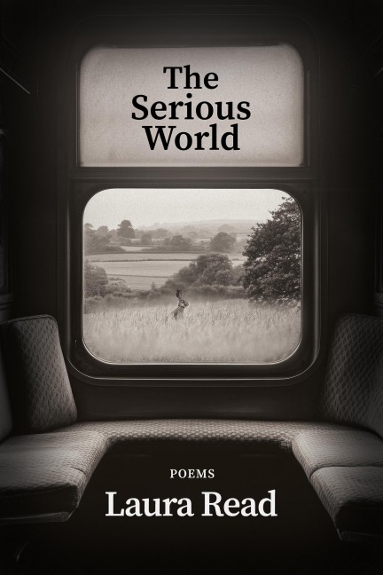 The Serious World - Laura Read