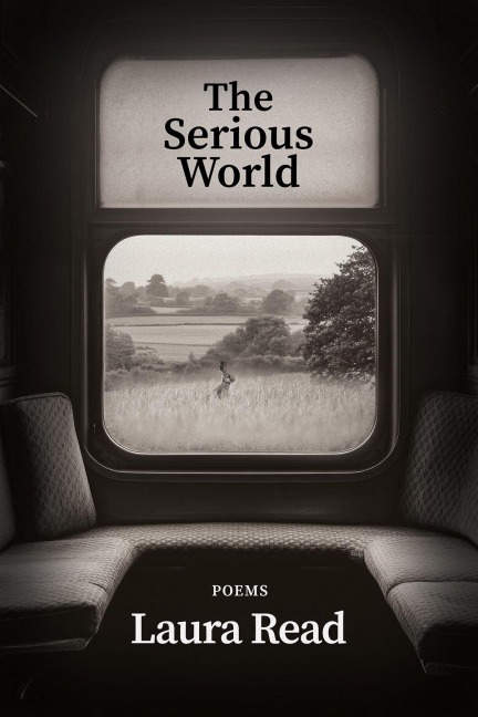 The Serious World - Laura Read