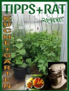 Cover-Bild zum Titel 'LICHTBLICKE__in__KÜCHE_und_GARTEN' von 'RAYMONDi'