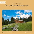 Cover-Bild zum Titel 'Aus der Eisenhämmerzeit' von 'Peter Rosegger'