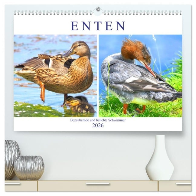 Enten. Bezaubernde und beliebte Schwimmer (hochwertiger Premium Wandkalender 2026 DIN A2 quer), Kunstdruck in Hochglanz - Rose Hurley