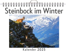 Cover-Bild zum Titel 'Steinbock im Winter' von 'Max Schwarz'