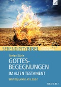 Cover-Bild zum Titel 'Gottesbegegnungen im Alten Testament' von 'Stefan Kürle'