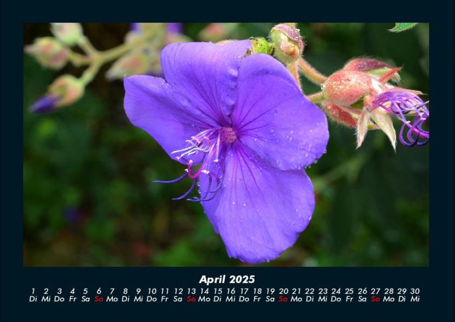 InsideView 8