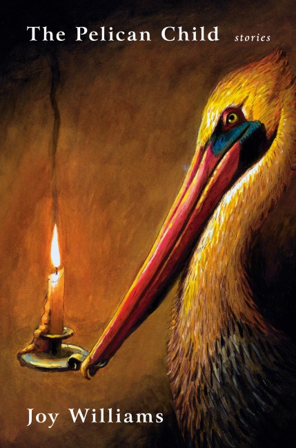 The Pelican Child - Joy Williams