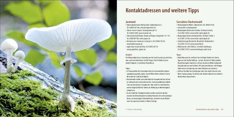 InsideView 7