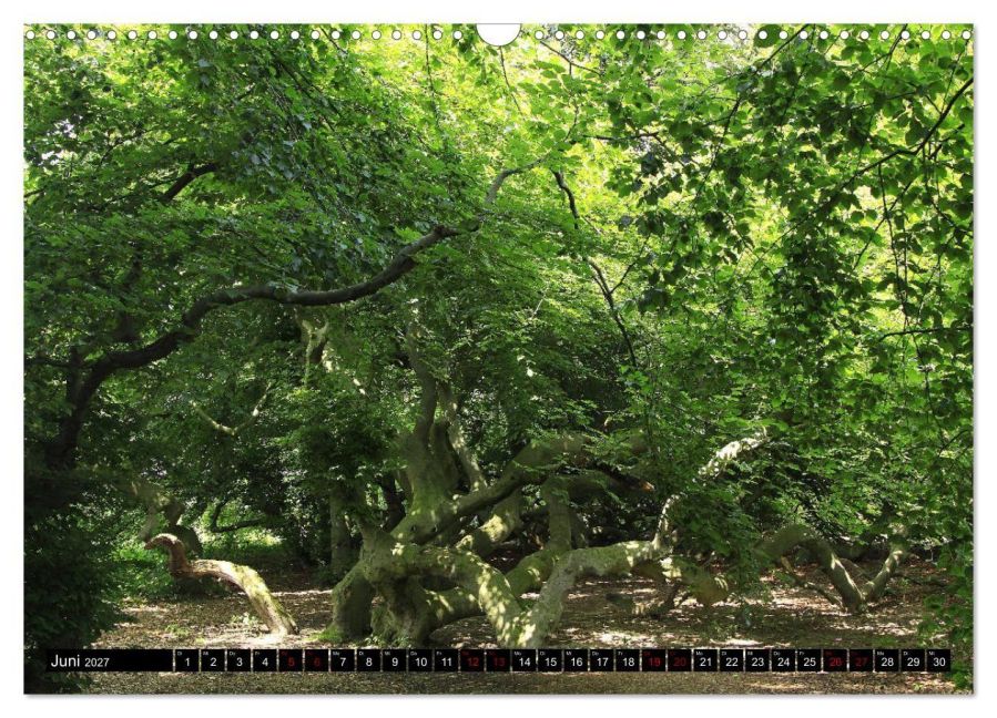 InsideView 11