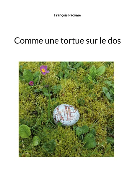 Comme une tortue - François Pacôme