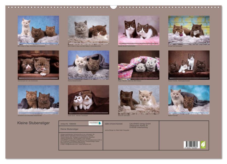 InsideView 5