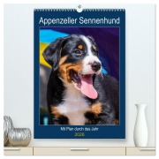 Cover-Bild zum Titel 'Appenzeller Sennenhund - Mit Plan durch das Jahr (hochwertiger Premium Wandkalender 2026 DIN A2 hoch), Kunstdruck in Hochglanz' von 'Sigrid Starick'