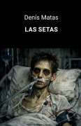 Cover-Bild zum Titel 'Las Setas' von 'Denís Matas'