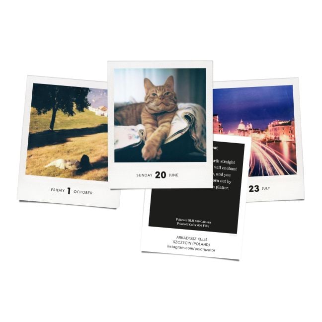 InsideView 13
