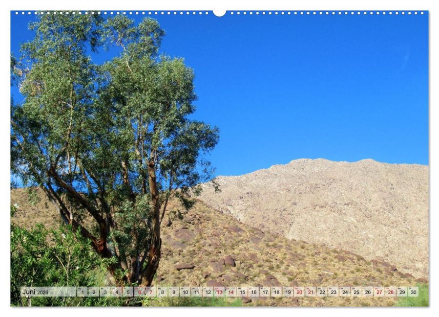 InsideView 11