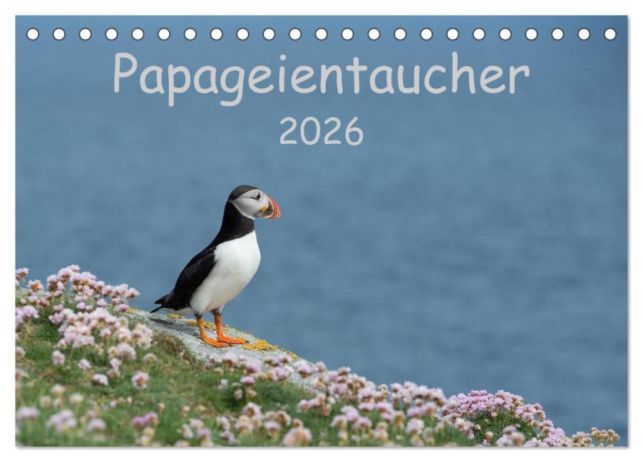 Papageientaucher 2026 (Tischkalender 2026 DIN A5 quer), CALVENDO Monatskalender - Stefan Leimer