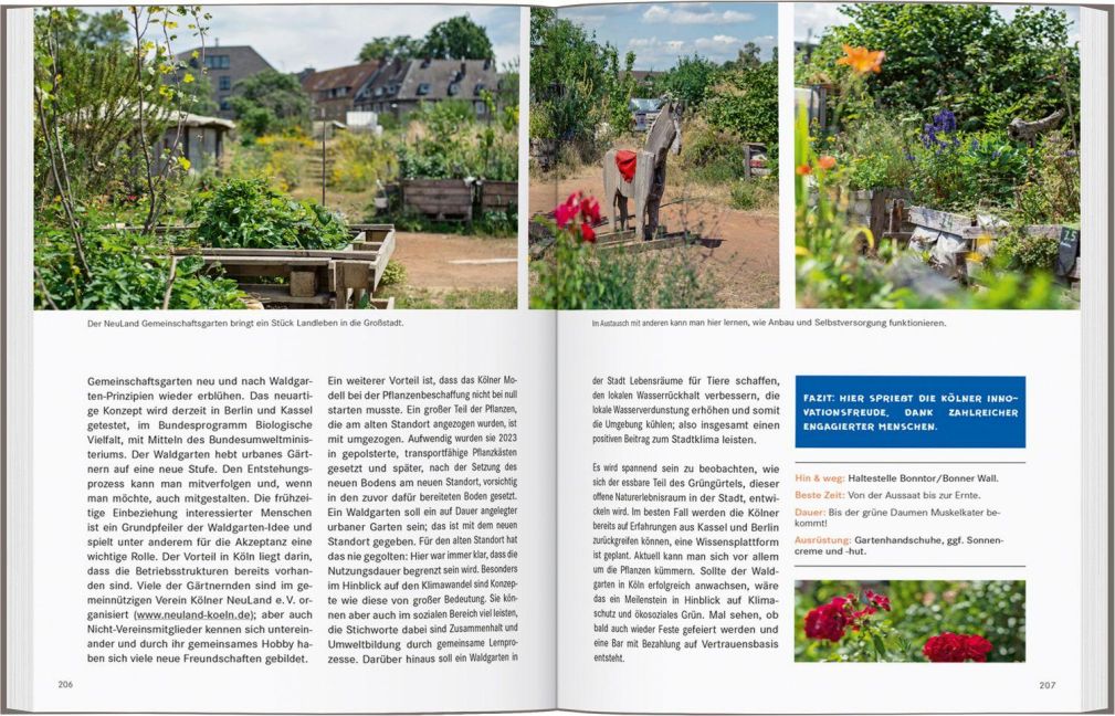 InsideView 14